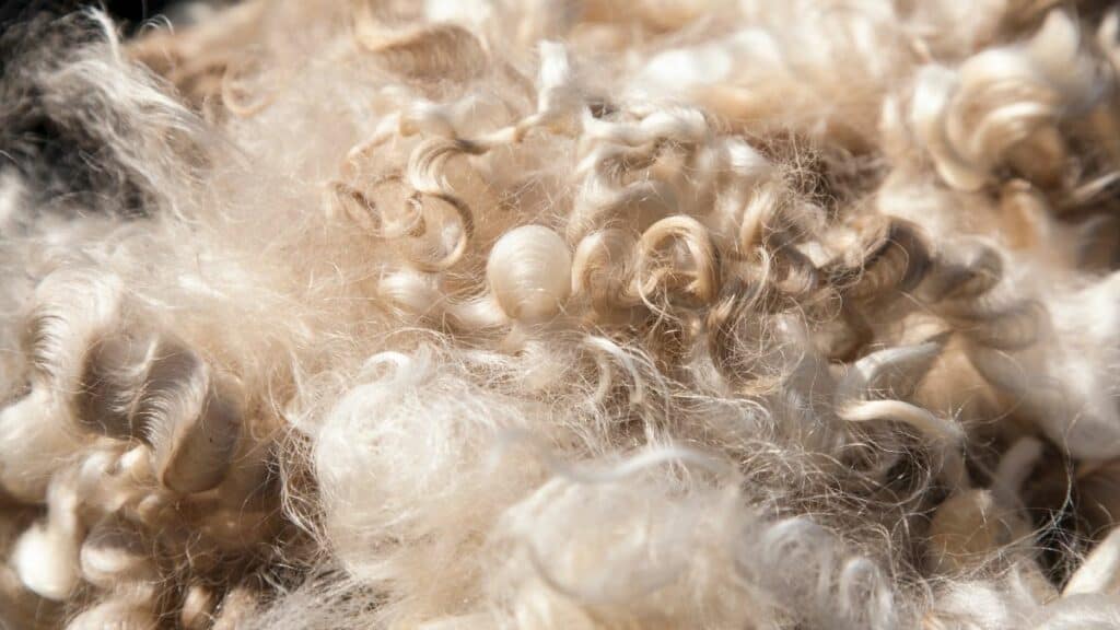 Is Wool Fire Resistant