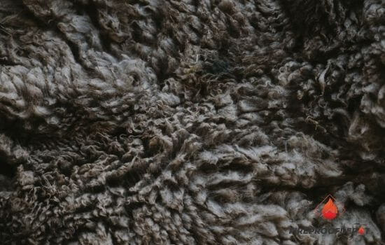 Dark sheep's fleece texture